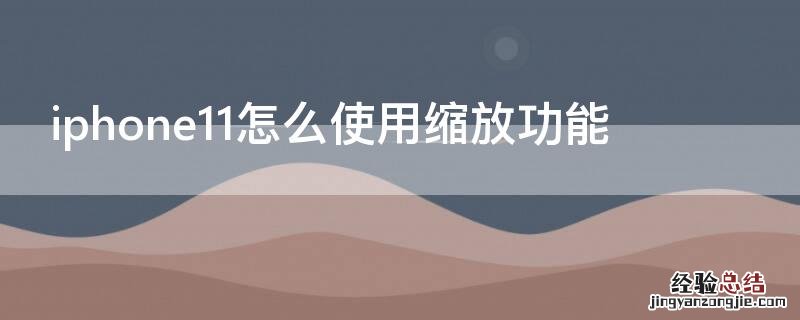 iphone12pro缩放功能 iPhone11怎么使用缩放功能