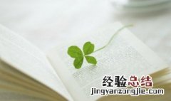 脱粉是什么意思 脱粉是什么意思?