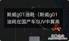 斯威g01油耗在国产车SUV中算高吗? 斯威g01油耗