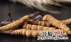 冬虫夏草可以放冰箱冷冻吗多少度 冬虫夏草可以放冰箱冷冻吗