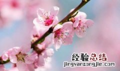 3月份下旬是什么时候 三月上旬是什么时候