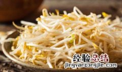 芽菜是什么菜 芽菜是什么菜图片