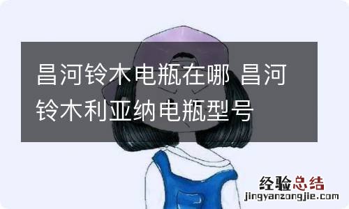 昌河铃木电瓶在哪 昌河铃木利亚纳电瓶型号