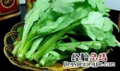 高钙菜有哪些? 高钙菜是什么菜