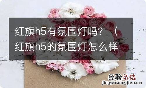 红旗h5的氛围灯怎么样 红旗h5有氛围灯吗？