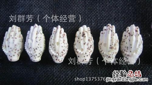 佛手的品种有哪些