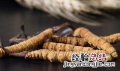 孕妇可以吃冬虫夏草吗 孕妇能不能吃冬虫夏草