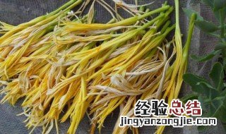 黄花菜种子可以十月份种吗 黄花菜几月播种