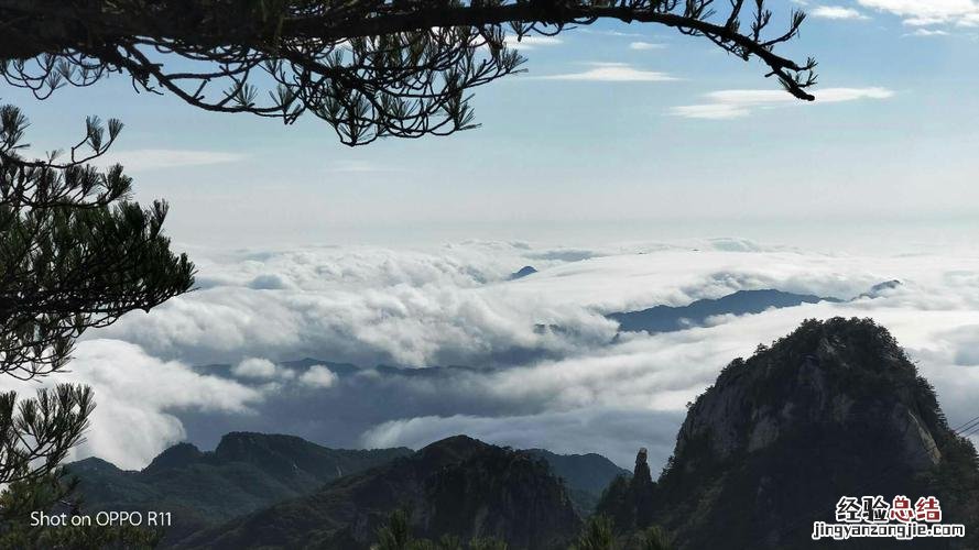 平顶山有什么好去处风景比较好的