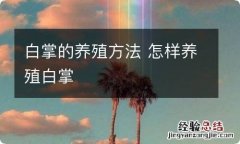 白掌的养殖方法 怎样养殖白掌