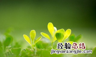 关于未来的网名简短 关于未来的网名简短英文