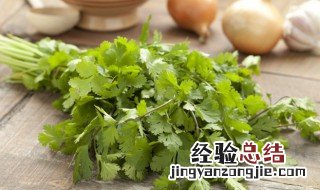 香菜怎么储存冬天香菜怎么储存 香菜怎么保存到冬天吃