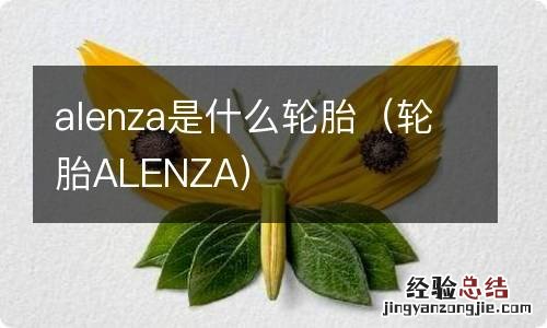 轮胎ALENZA alenza是什么轮胎