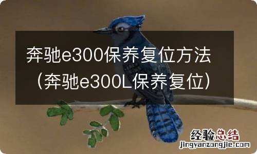 奔驰e300L保养复位 奔驰e300保养复位方法