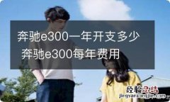 奔驰e300一年开支多少 奔驰e300每年费用