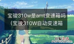 宝骏310W自动变速箱 宝骏310w是amt变速箱吗