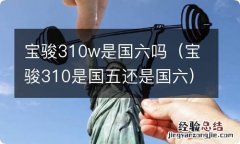 宝骏310是国五还是国六 宝骏310w是国六吗