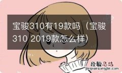 宝骏310 2019款怎么样 宝骏310有19款吗