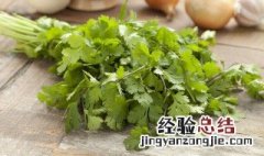 恒温库保存香菜方法 香菜常温怎么保存