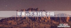 iPhonexs不支持双卡吗