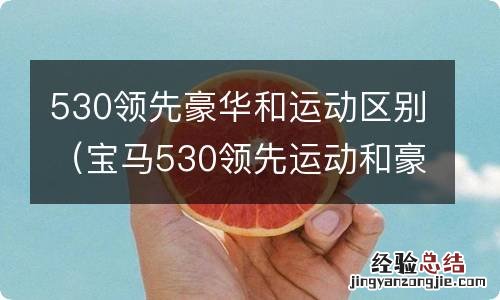 宝马530领先运动和豪华区别 530领先豪华和运动区别