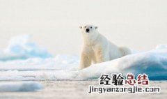 中国最冷的地方在哪里多少度 中国最冷的地方