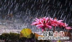 安徽梅雨季节是几月份 安徽梅雨季节是多少月份