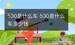 530是什么车 530是什么车多少钱