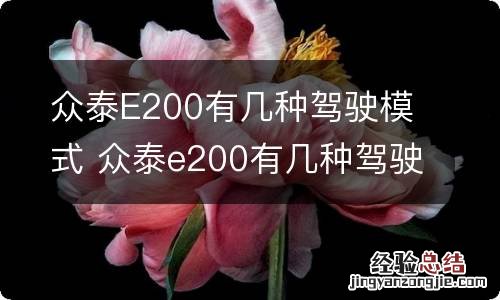 众泰E200有几种驾驶模式 众泰e200有几种驾驶模式的