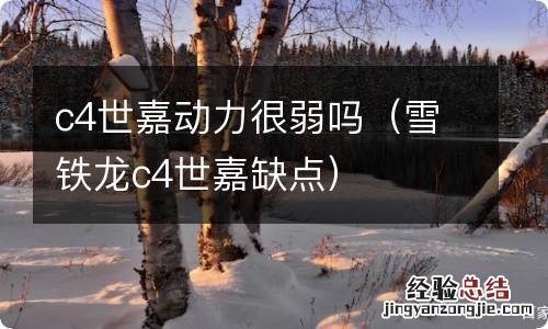 雪铁龙c4世嘉缺点 c4世嘉动力很弱吗