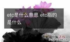 etc是什么意思 etc指的是什么