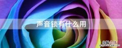 声音锁有什么用