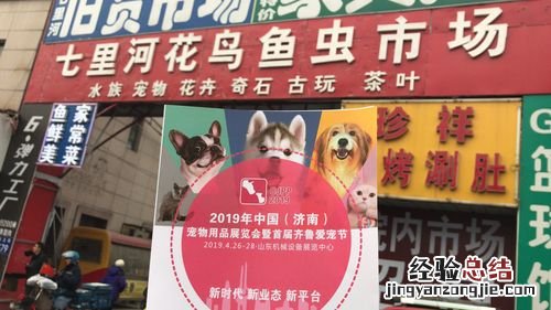 北京最大的宠物市场在哪里