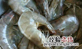 怎么剥虾仁去虾壳视频 怎么剥虾仁去虾壳