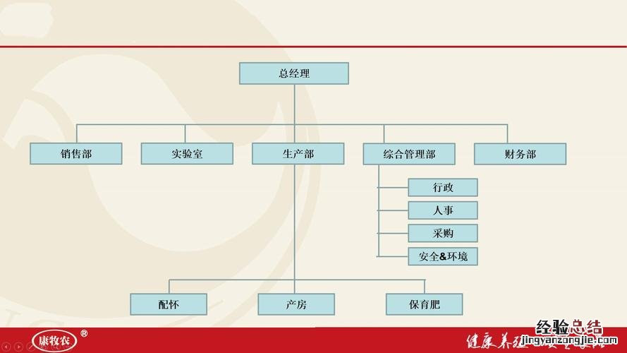 企业组织结构是什么