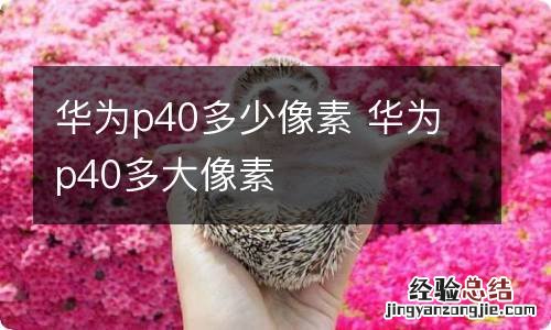 华为p40多少像素 华为p40多大像素