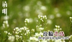 清明节哀悼去世的句子