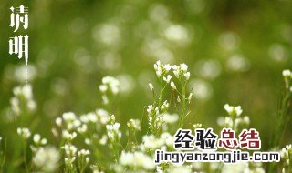 清明节哀悼去世的句子