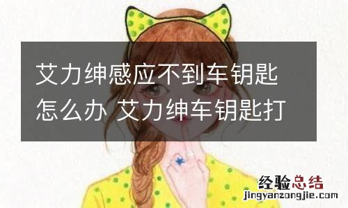 艾力绅感应不到车钥匙怎么办 艾力绅车钥匙打不开门