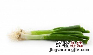 辣拌葱白 凉拌葱白