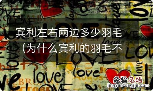 为什么宾利的羽毛不一样的 宾利左右两边多少羽毛