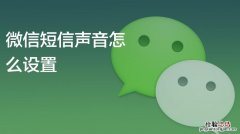 微信视频声音怎么设置在哪里设置