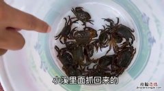 海鲜有寄生虫吗