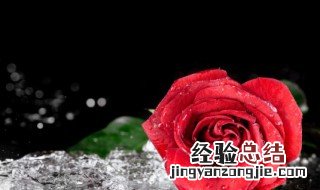 给女朋友表白的情话 关于给女朋友表白的情话