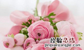 11朵粉色玫瑰花语 11朵粉色玫瑰花语是什么意思?