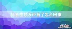 抖音视频没声音了怎么回事