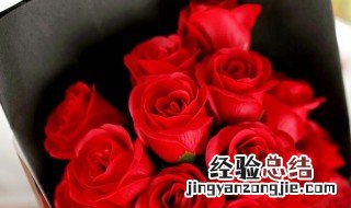 51朵玫瑰花语是什么 51朵玫瑰花语是什么意思