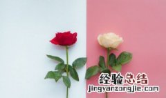 二朵玫瑰花什么意思 二朵玫瑰花什么意思?