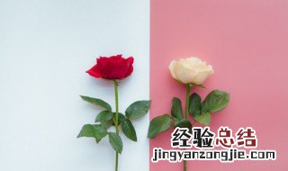 二朵玫瑰花什么意思 二朵玫瑰花什么意思?