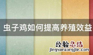 虫子鸡如何提高养殖效益 虫子鸡提高养殖效益的方法